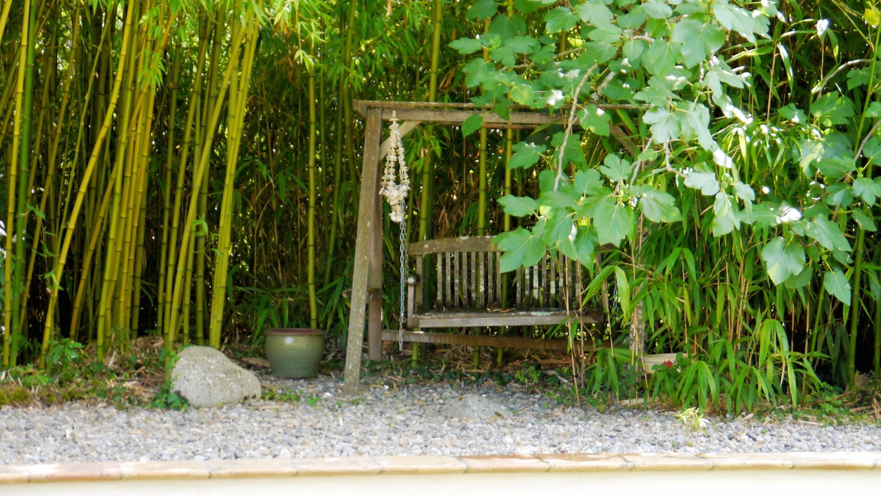Photo of Outdoor in Cessales