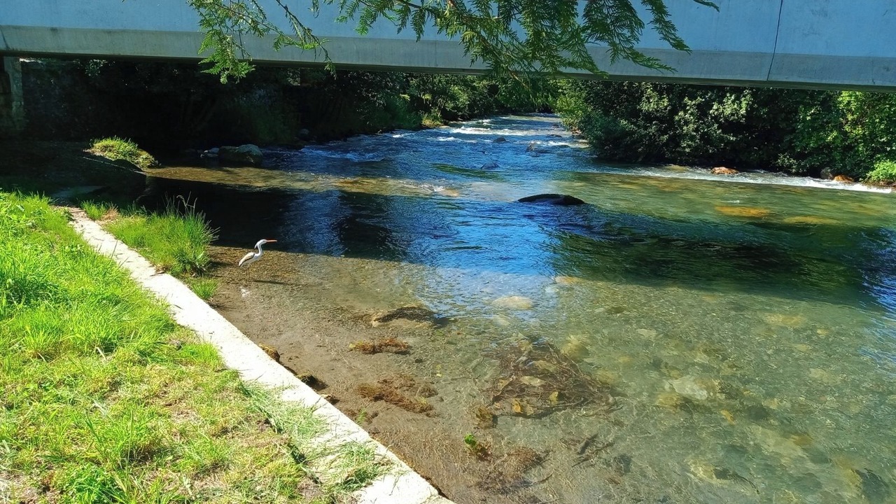 Photo of Outdoor in Aste