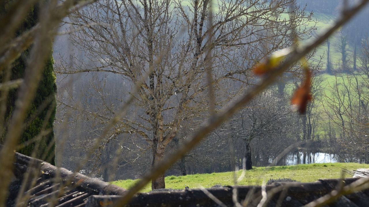 Photo of Outdoor in Sainte-Alauzie