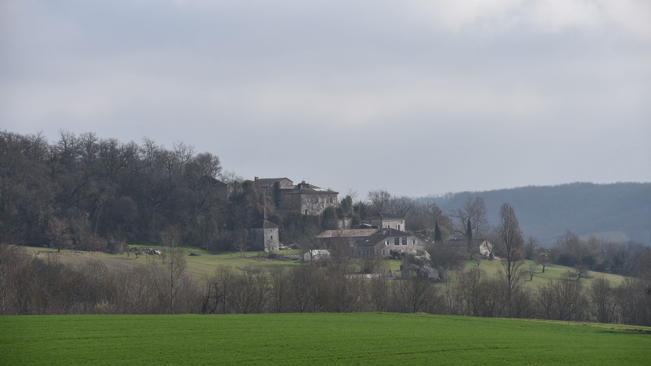Photo of Others in Sainte-Alauzie