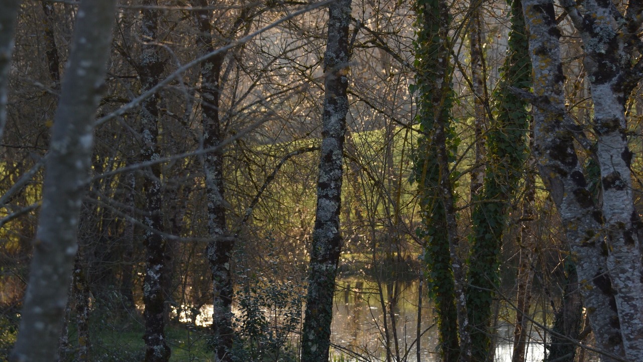 Photo of Outdoor in Sainte-Alauzie
