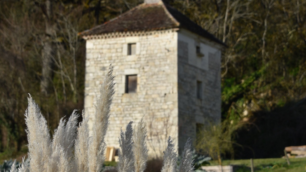 Photo of Outdoor in Sainte-Alauzie