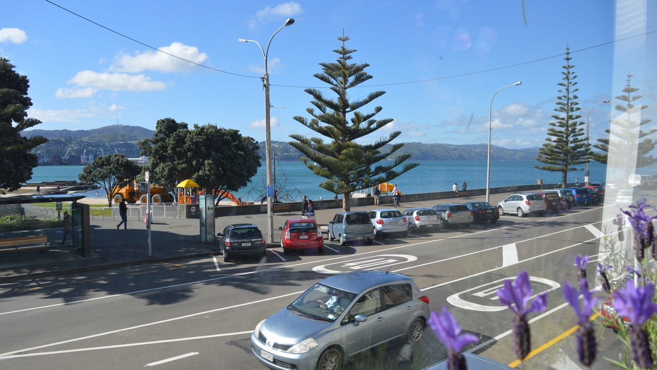 Photo of Others in Oriental Bay