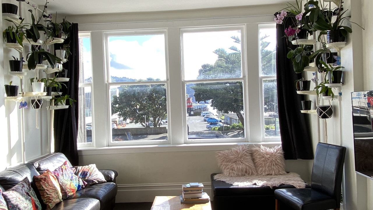 Photo of Livingroom in Oriental Bay