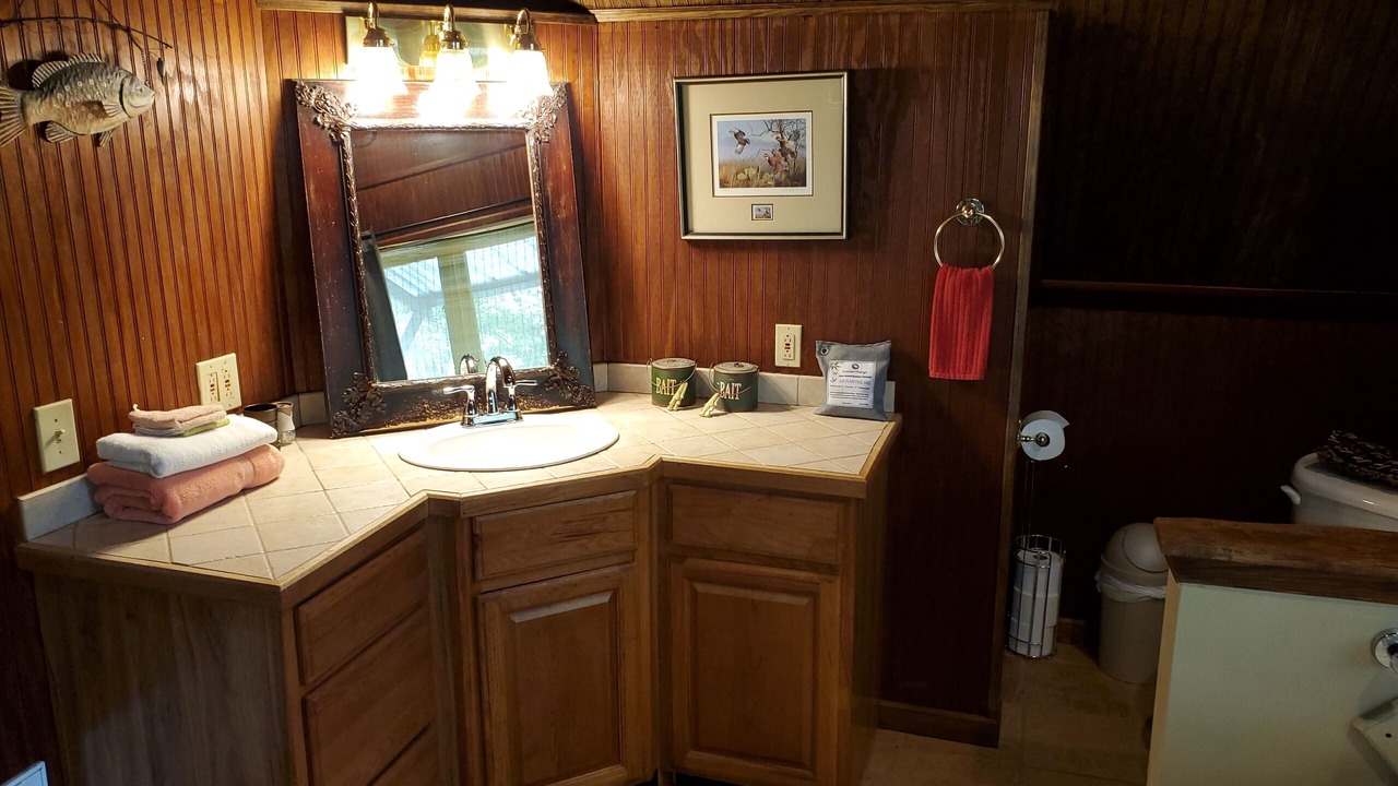 Photo of Bathroom in Sardis
