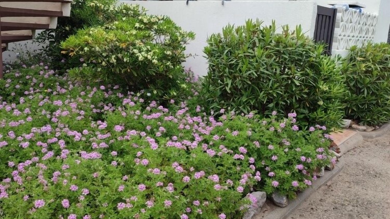 Photo of Outdoor in Port Leucate