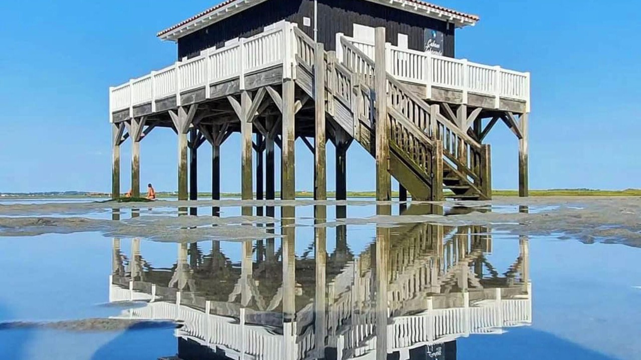 Photo of Others in Dax