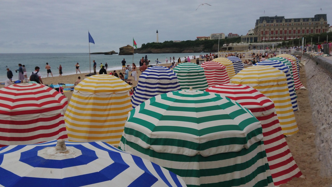 Photo of Others in Dax