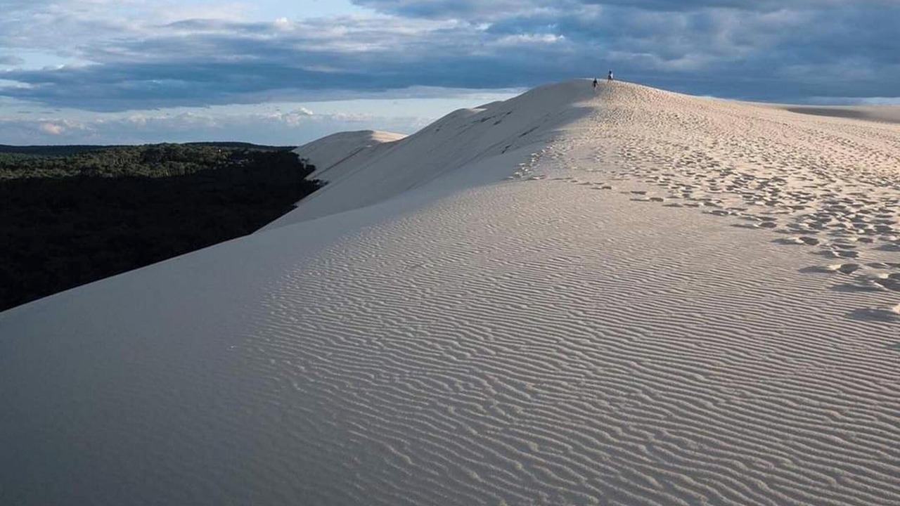 Photo of Others in Dax