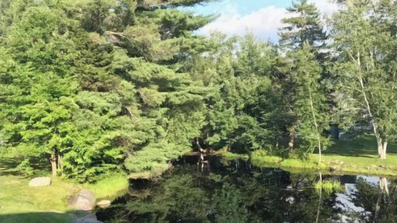 Photo of Others in North Woodstock