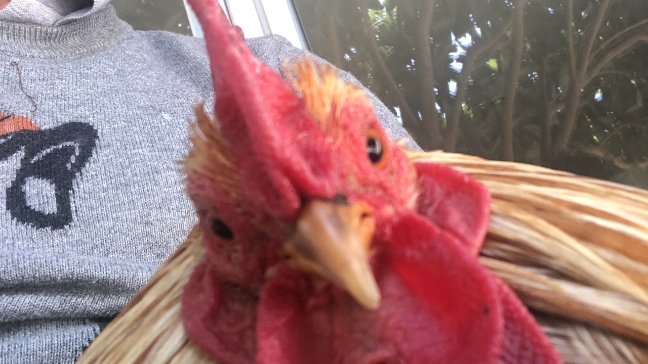 Photo of Others in Aussonne