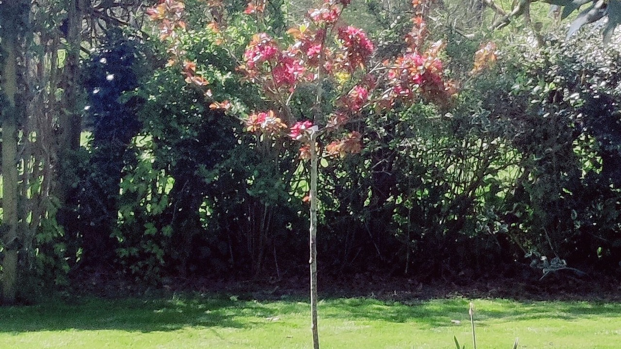 Photo of Outdoor in Bilsington