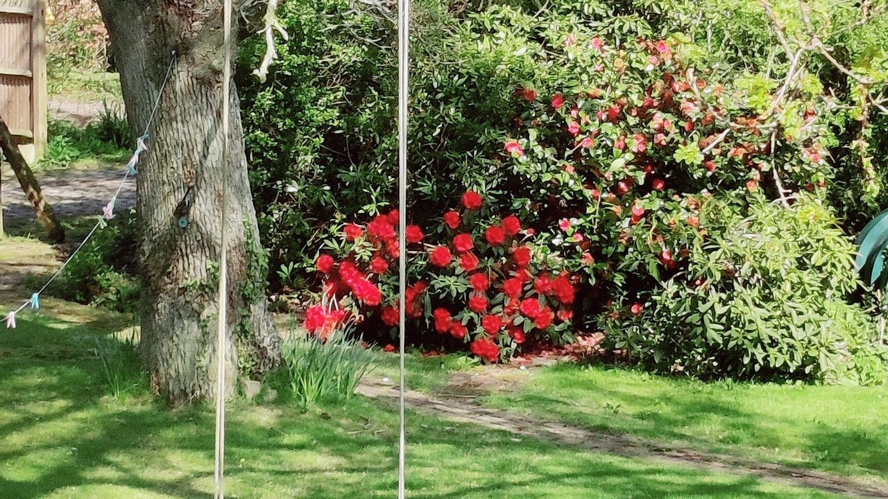 Photo of Outdoor in Bilsington