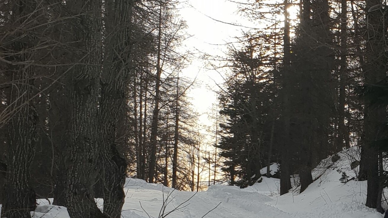 Photo of Others in Belvedere