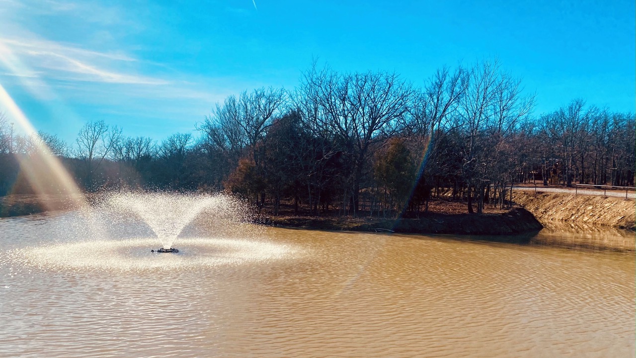 Photo of Others in Henryetta