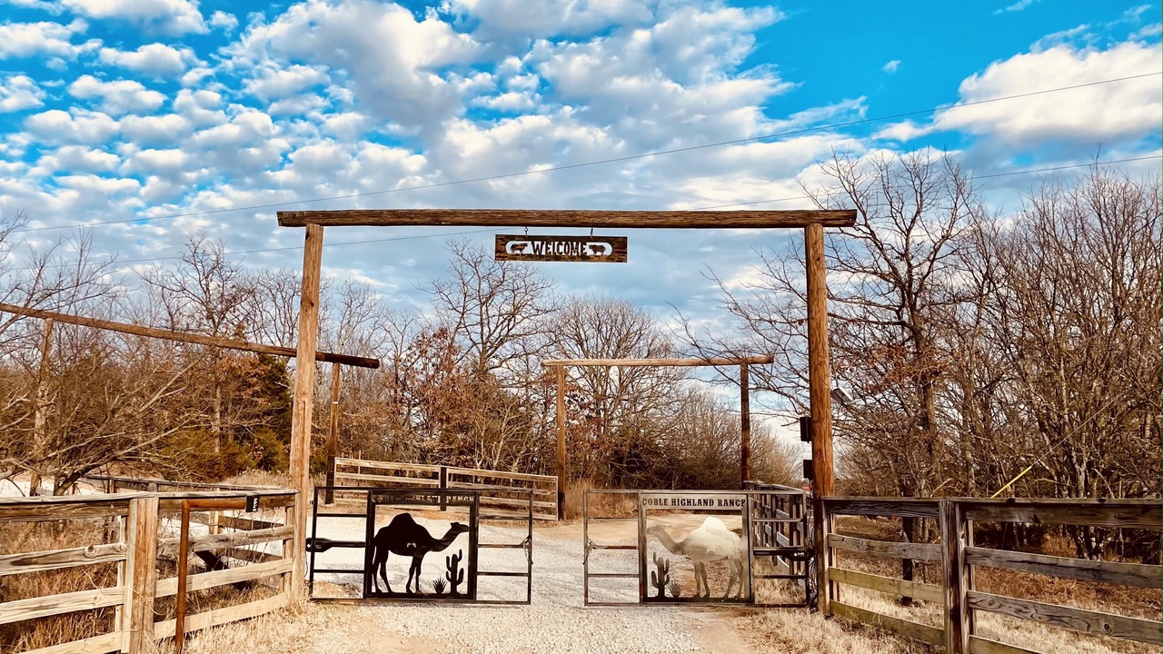 Photo of Outdoor in Henryetta