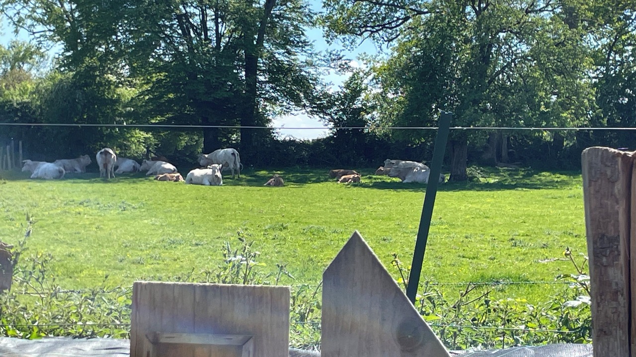 Photo of Outdoor in Boulleville