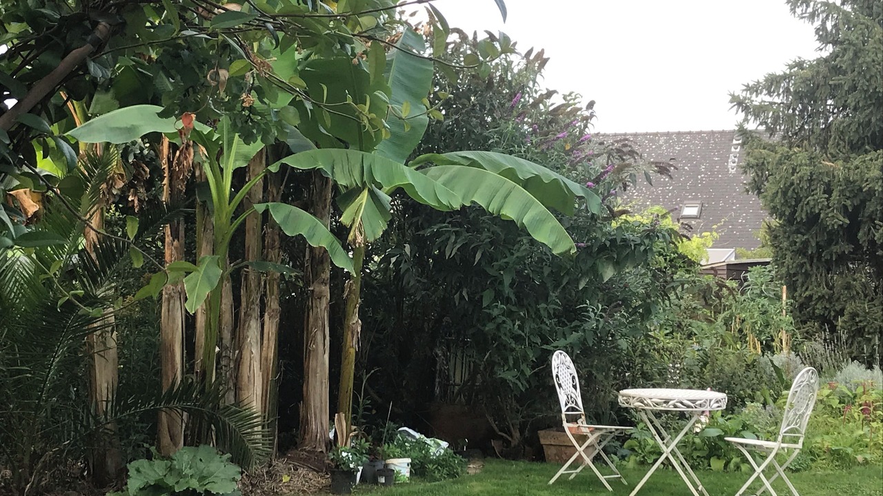 Photo of Outdoor in Les Hauts de Saint-Aubin