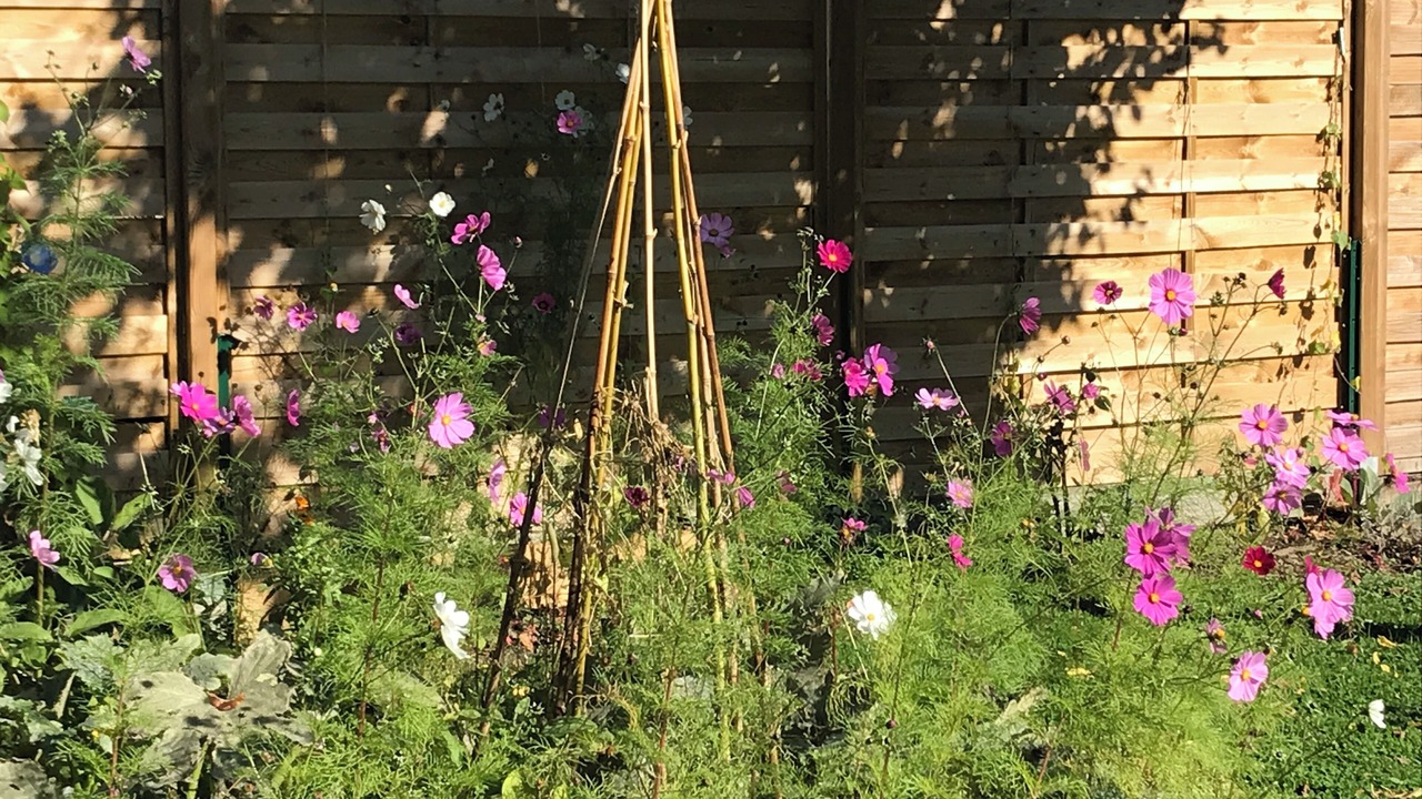 Photo of Outdoor in Les Hauts de Saint-Aubin