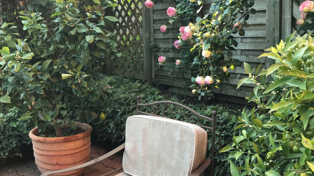 Photo of Outdoor in Les Hauts de Saint-Aubin