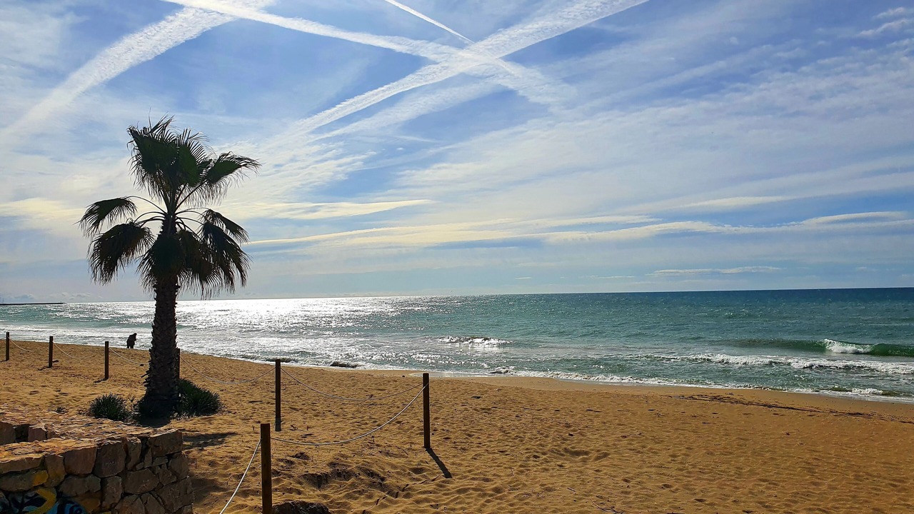 Photo of Others in Segur de Calafell