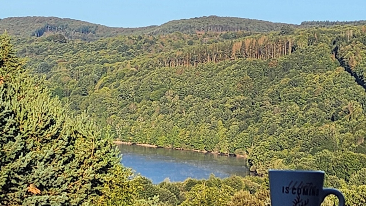 Photo of Outdoor in La Salvetat-sur-Agout