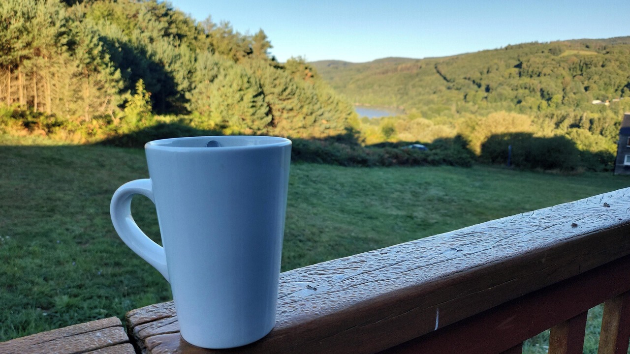 Photo of Outdoor in La Salvetat-sur-Agout