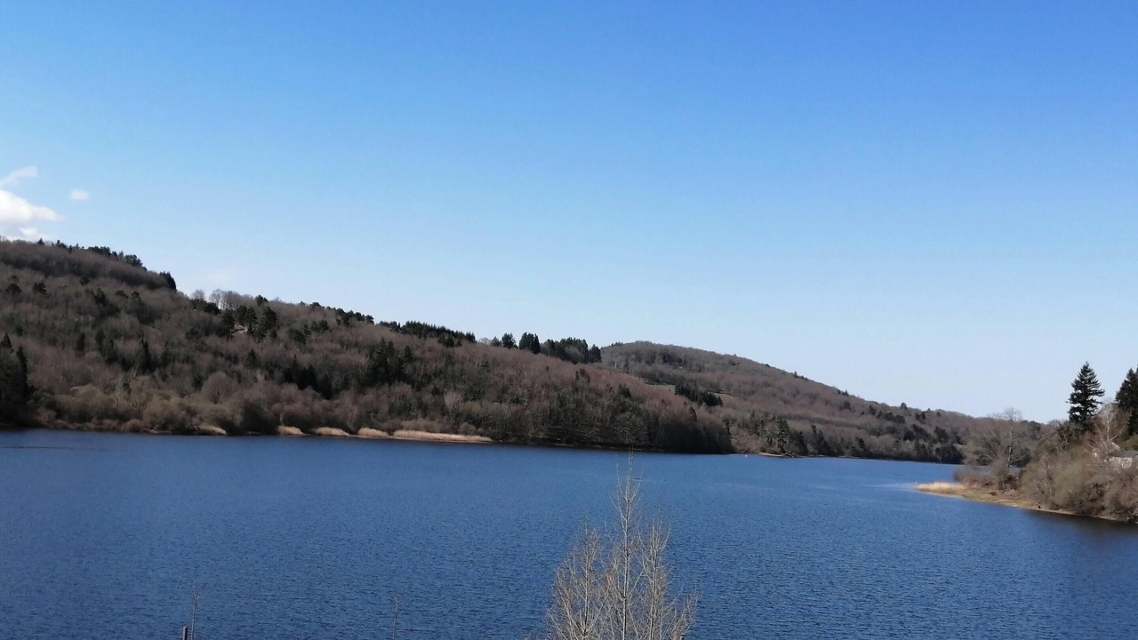 Photo of Others in La Salvetat-sur-Agout