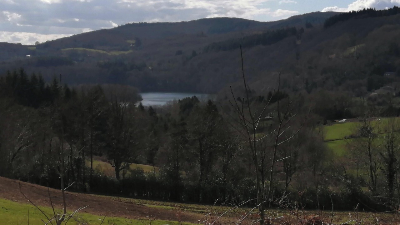 Photo of Others in La Salvetat-sur-Agout