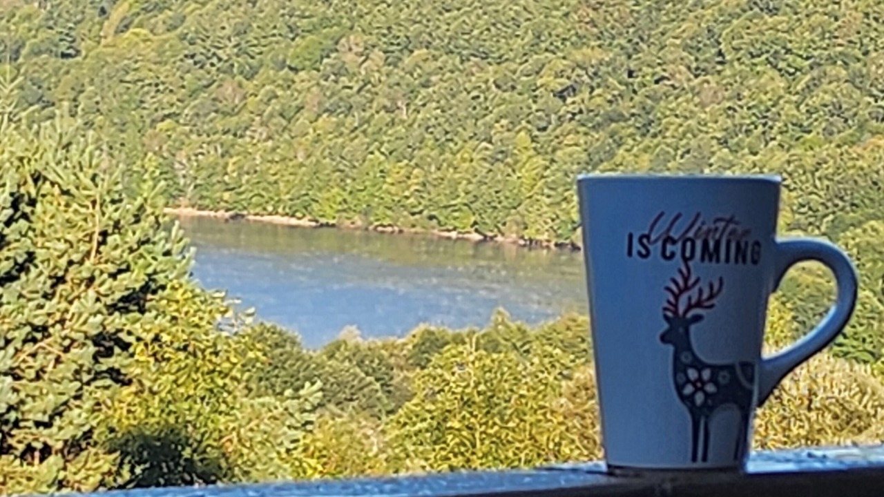 Photo of Outdoor in La Salvetat-sur-Agout