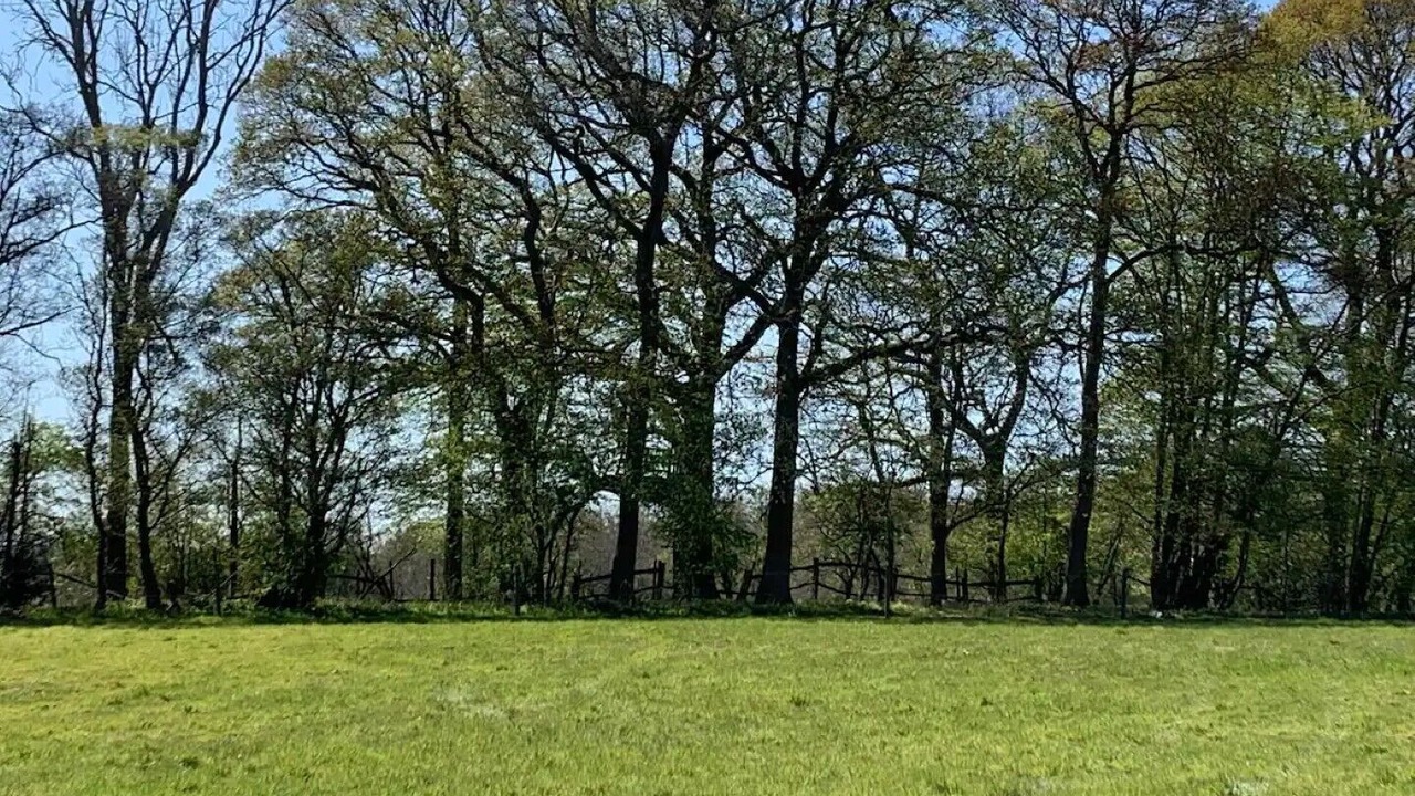 Photo of Others in Barns Green