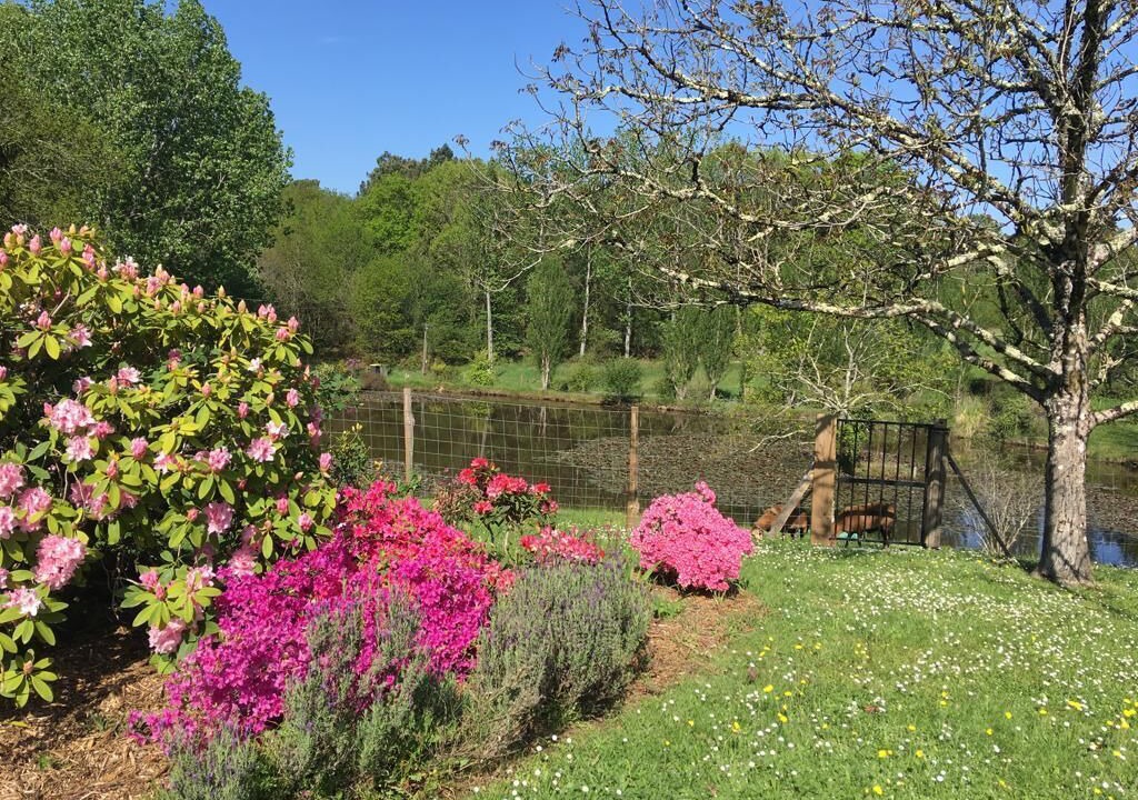 Photo of Outdoor in Cercoux