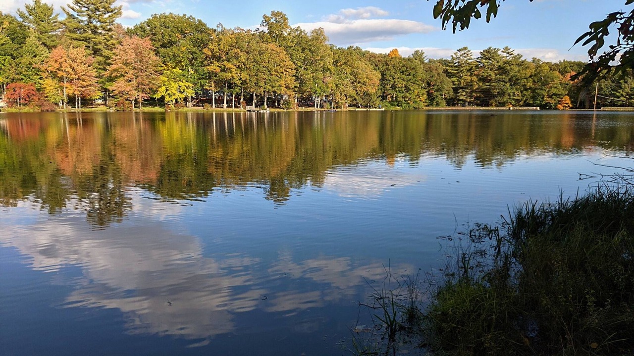 Photo of Others in White Mills