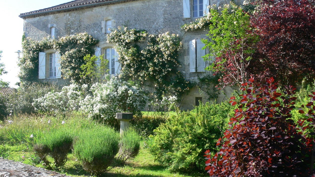 Photo of Outdoor in Serignac