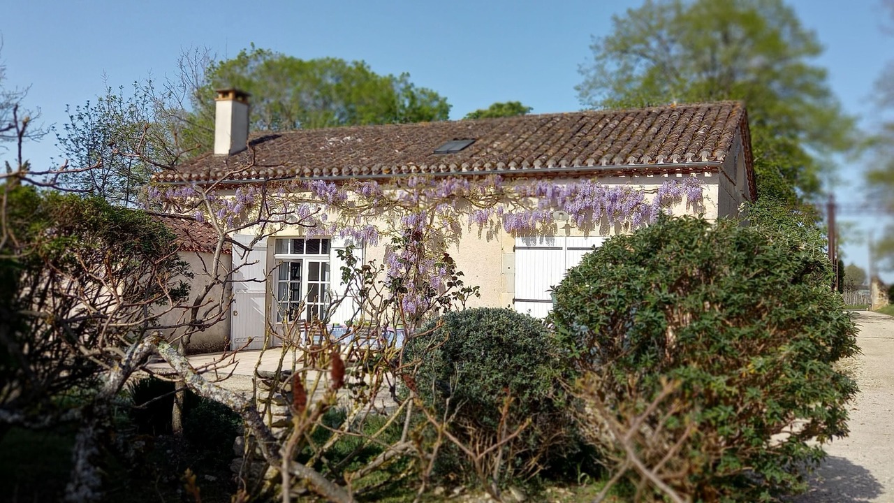 Photo of Outdoor in Serignac