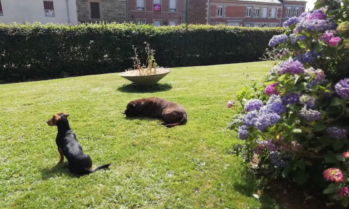 Photo of Outdoor in Maubert-Fontaine
