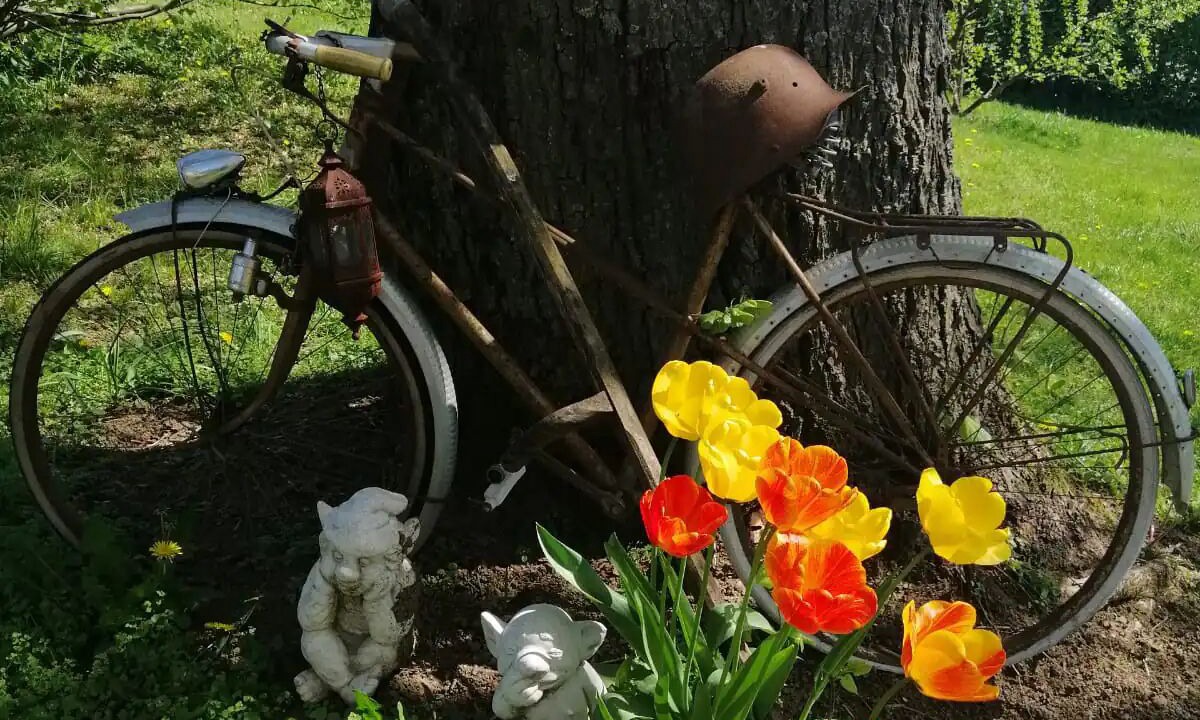 Photo of Outdoor in Maubert-Fontaine
