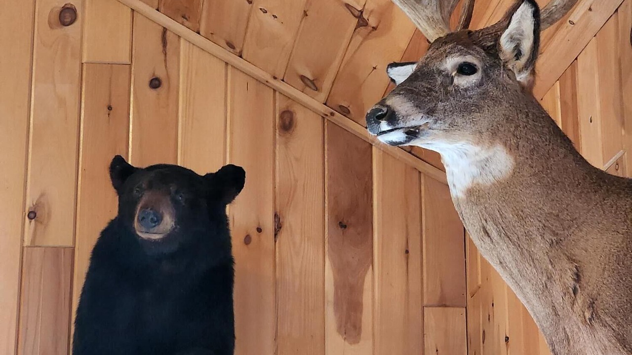 Photo of Others in Caribou