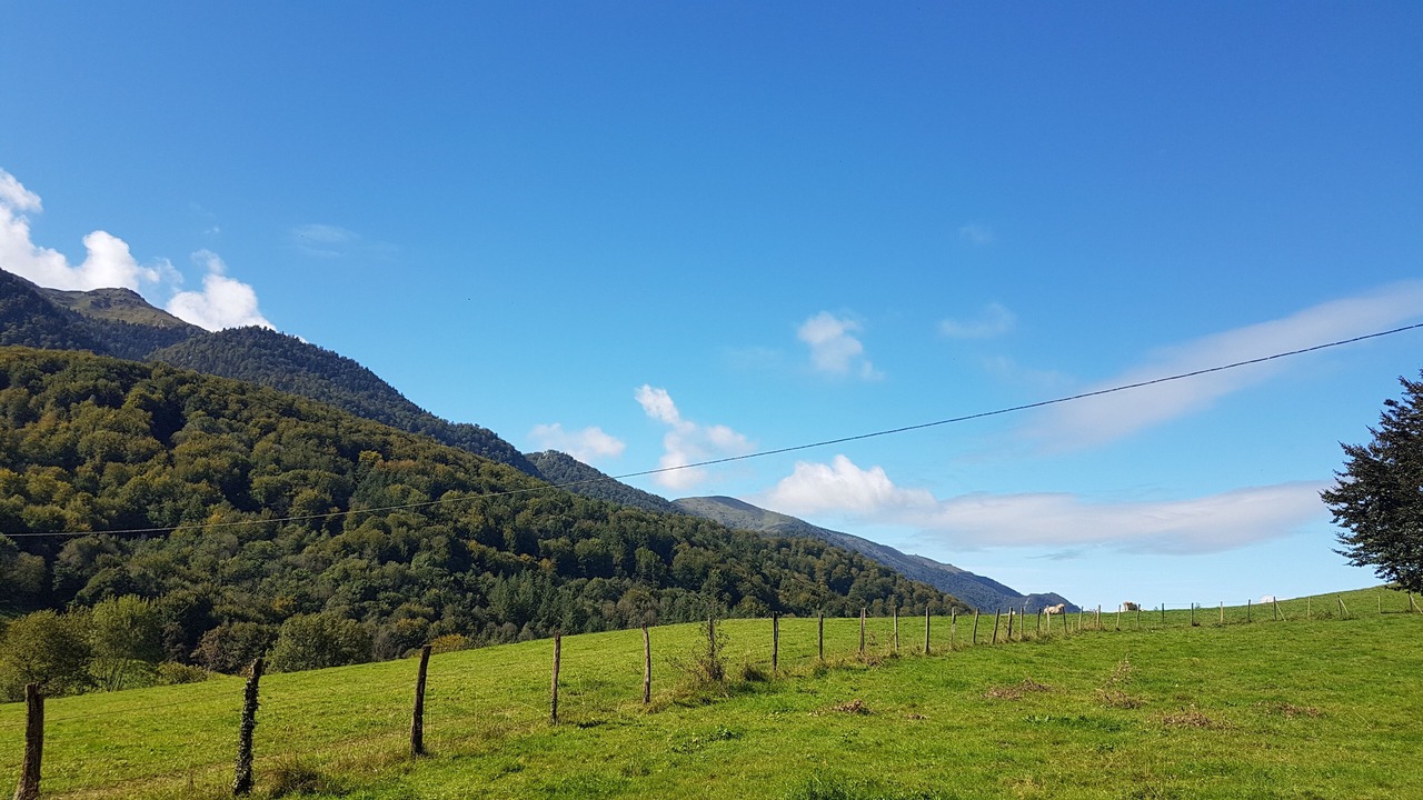 Photo of Others in Arudy