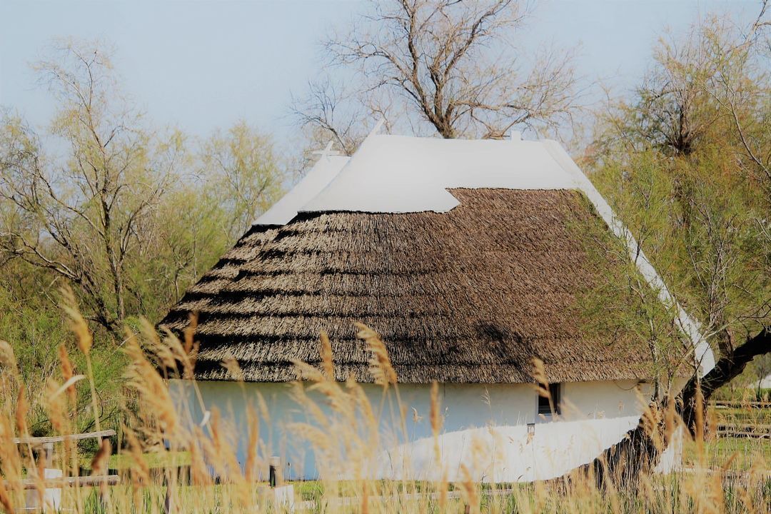Photo of Outdoor in Le Grau-Du-Roi