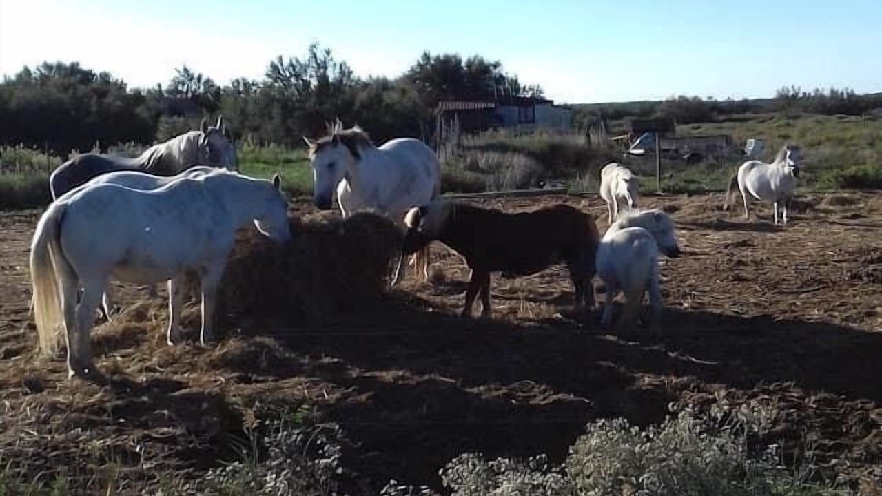 Photo of Outdoor in Vic-la-Gardiole