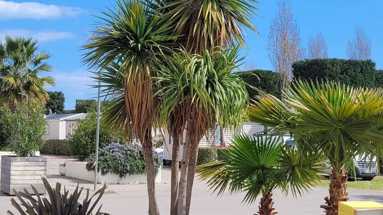 Photo of Outdoor in Vic-la-Gardiole