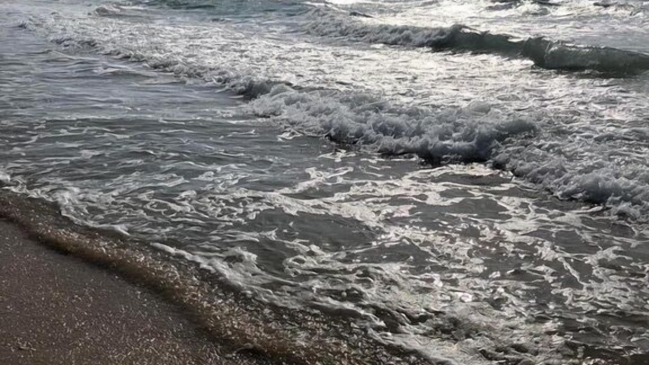 Photo of Others in Vic-la-Gardiole