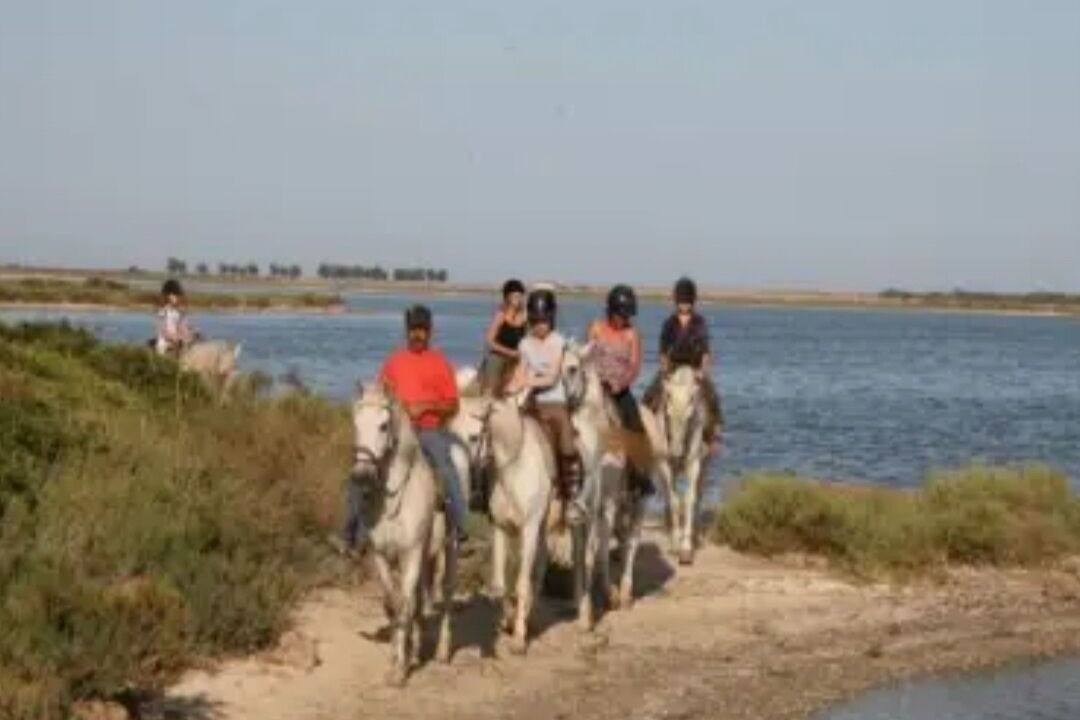 Photo of Others in Vic-la-Gardiole