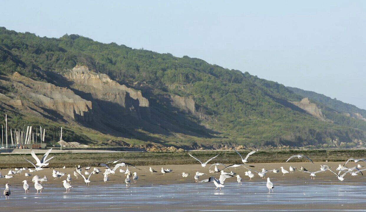 Photo of Others in Villers-sur-Mer