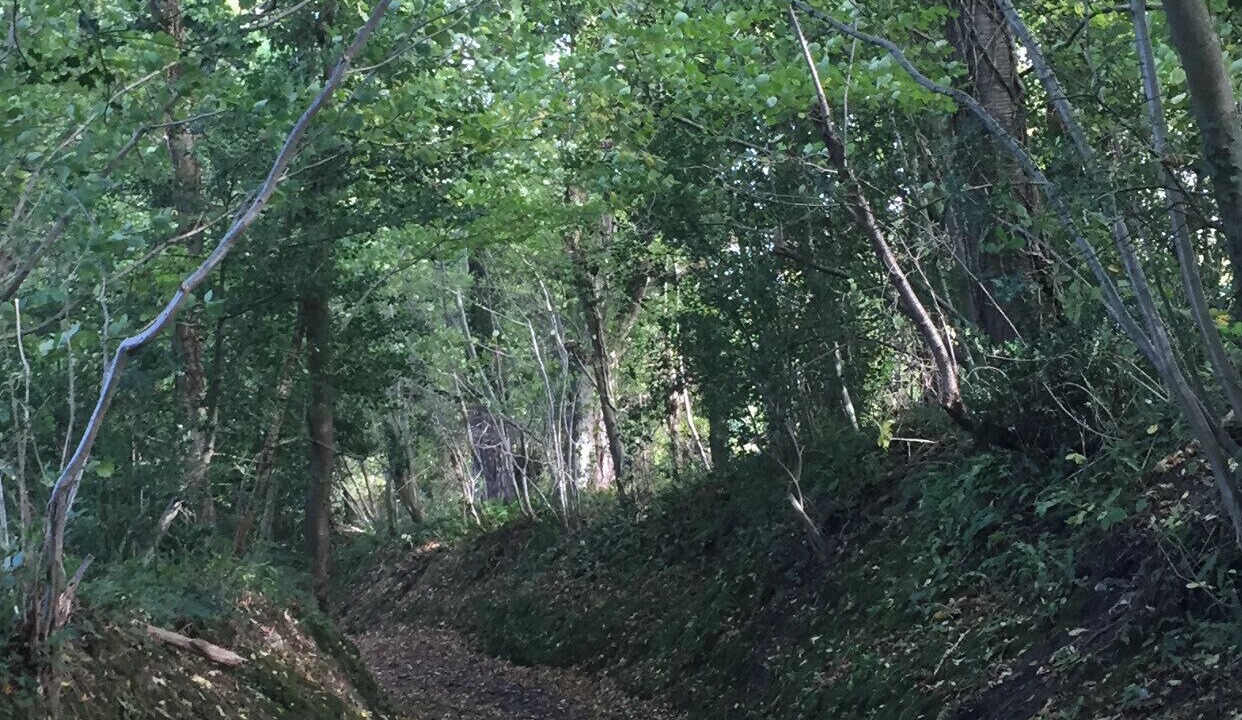 Photo of Outdoor in Villers-sur-Mer