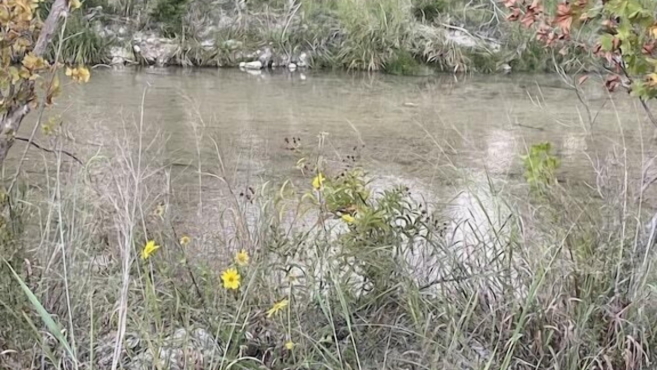 Photo of Others in Leakey