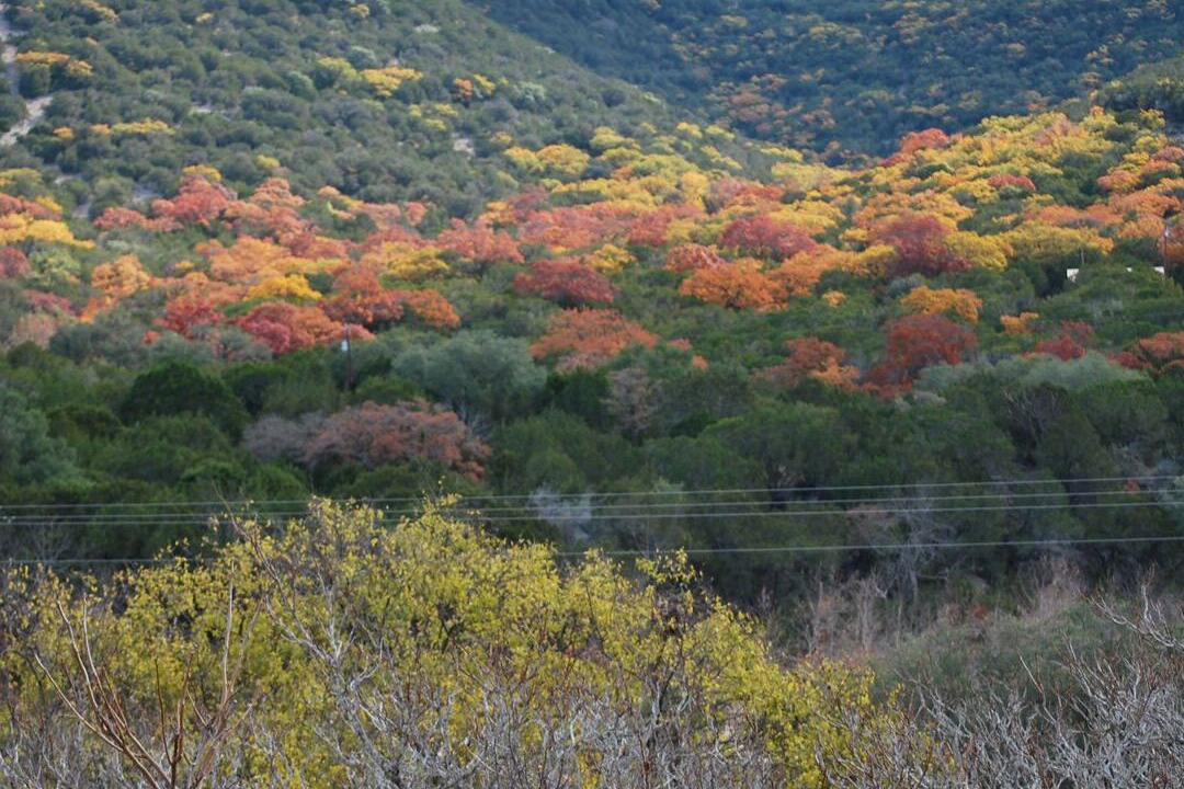 Photo of Others in Leakey