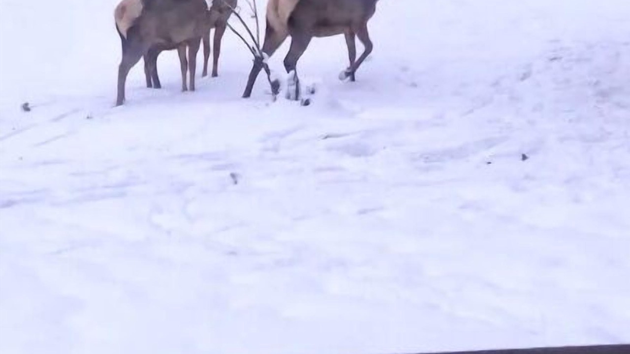 Photo of Outdoor in Garden Valley