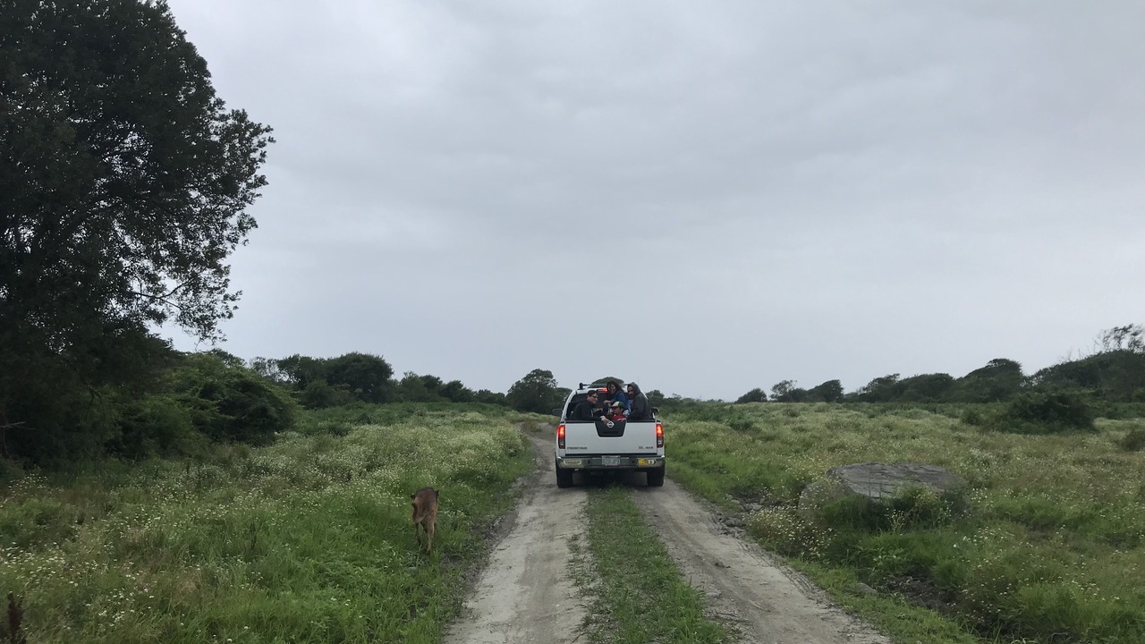 Photo of Others in Little Compton